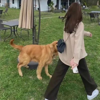 克雷斯的魔法学院